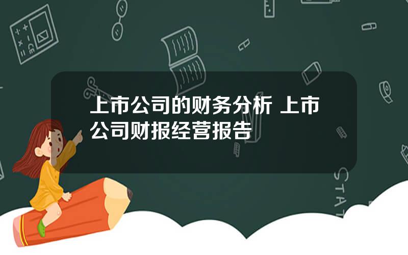 上市公司的财务分析 上市公司财报经营报告